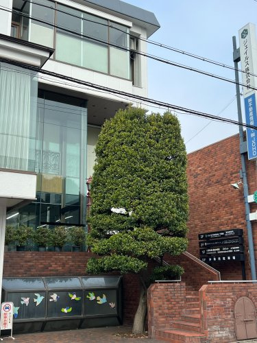 ジェイルス不動産の会社外観
